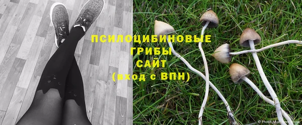 мет Арсеньев