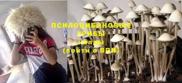 мет Арсеньев
