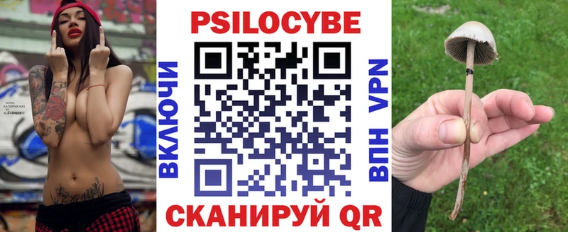 Галлюциногенные грибы Psilocybine cubensis  Микунь 